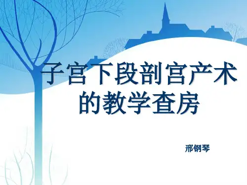 子宫下段剖宫产术手术配合与护理查房