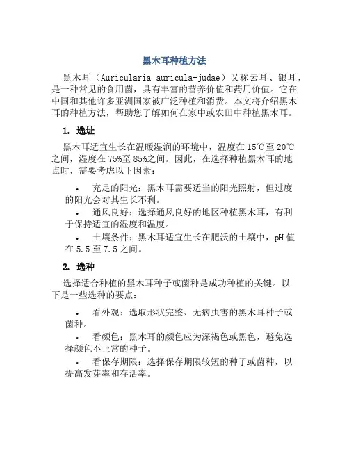 黑木耳种植方法