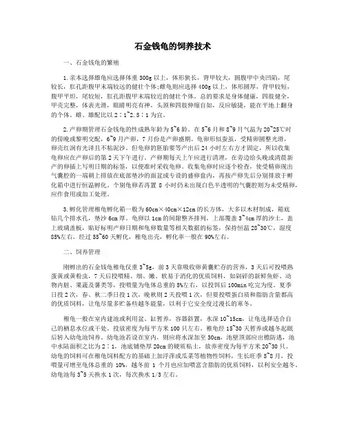 石金钱龟的饲养技术