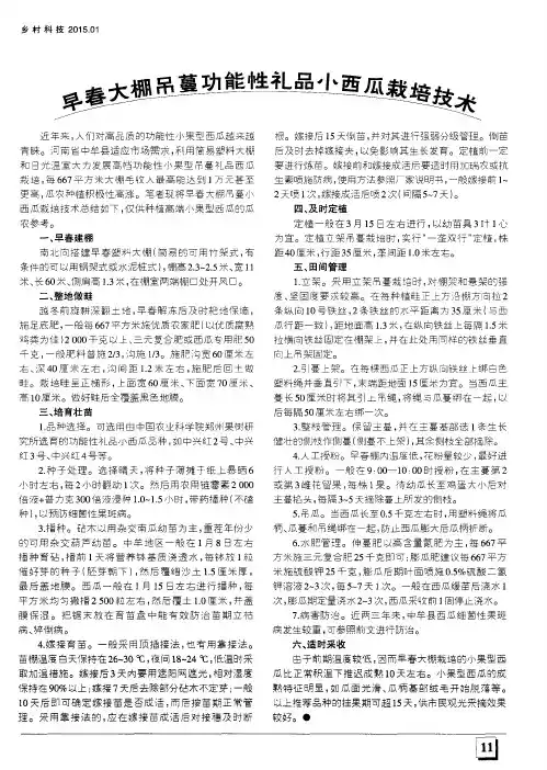早春大棚吊蔓功能性礼品小西瓜栽培技术