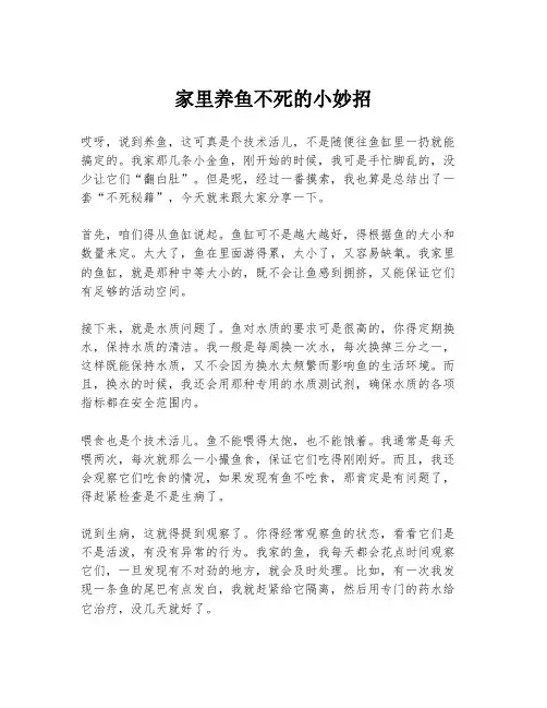 家里养鱼不死的小妙招
