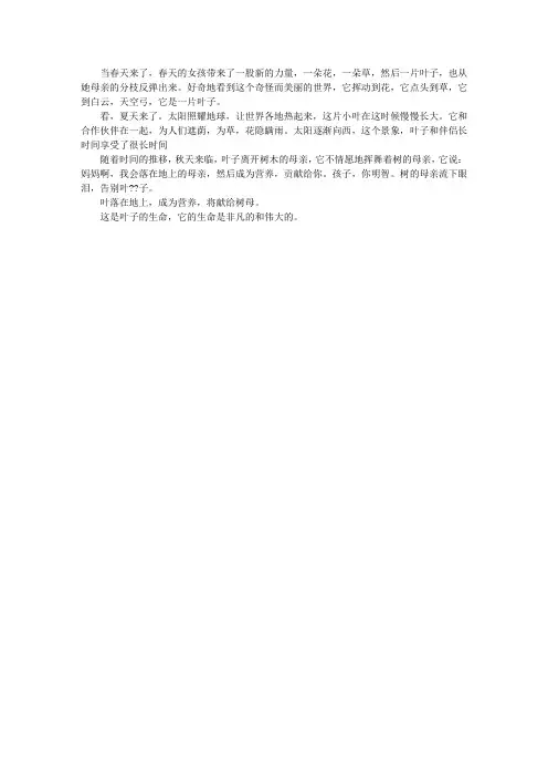 叶的一生