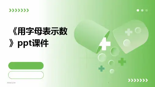 《用字母表示数》ppt课件