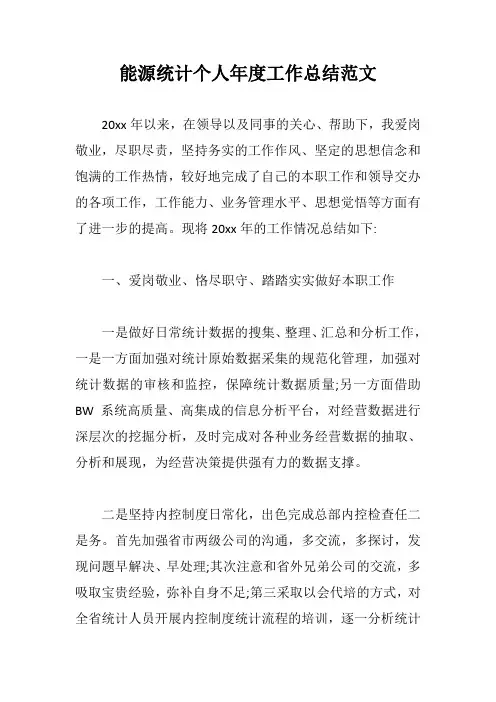 能源统计个人年度工作总结范文【最新版】