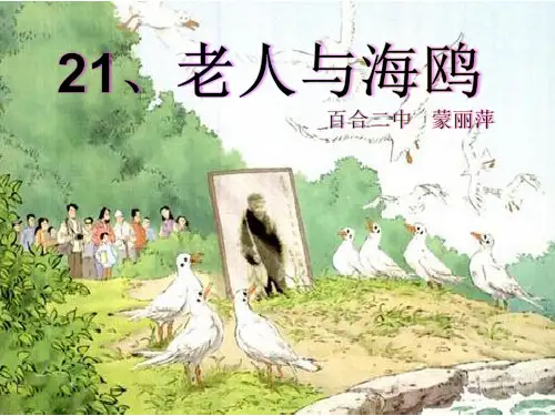部编六年级上人教《21 老人与海鸥》蒙丽萍PPT课件 一等奖新名师优质课获奖比赛公开免费下载