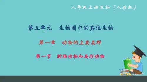 人教版八年级生物上册复习课件全册
