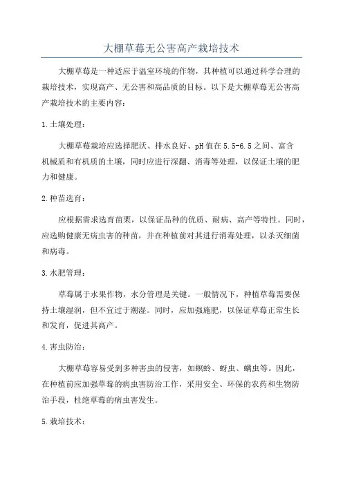 大棚草莓无公害高产栽培技术