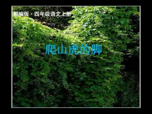 【精编】2019秋新部编版四年级语文上册第10课公开课课件爬山虎的脚ppt