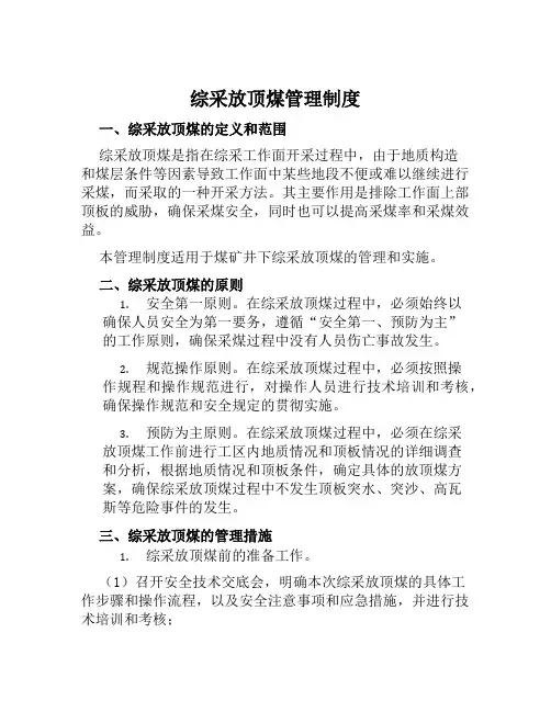 综采放顶煤管理制度