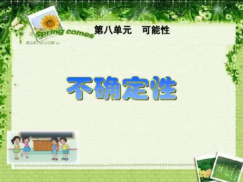 不确定性课件