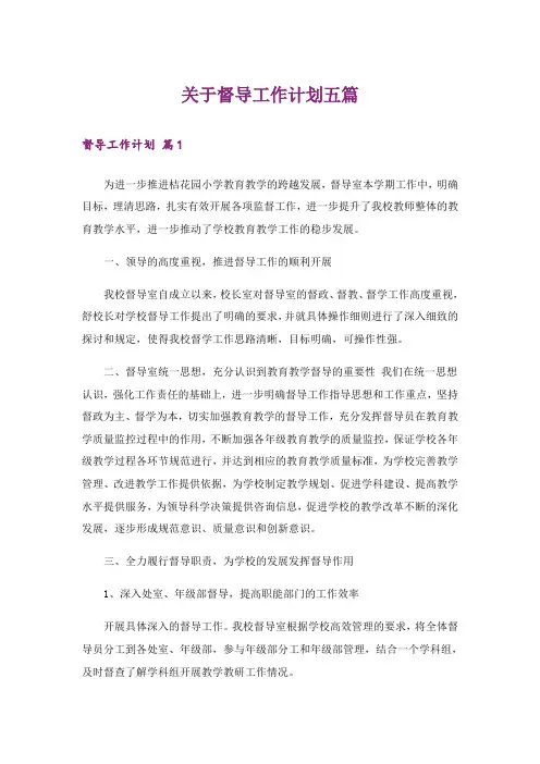 关于督导工作计划五篇