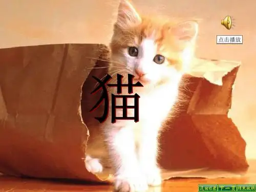 最新语文S版五年级语文下册6、猫_课件ppt课件(ppt公开课优质教学课件)B