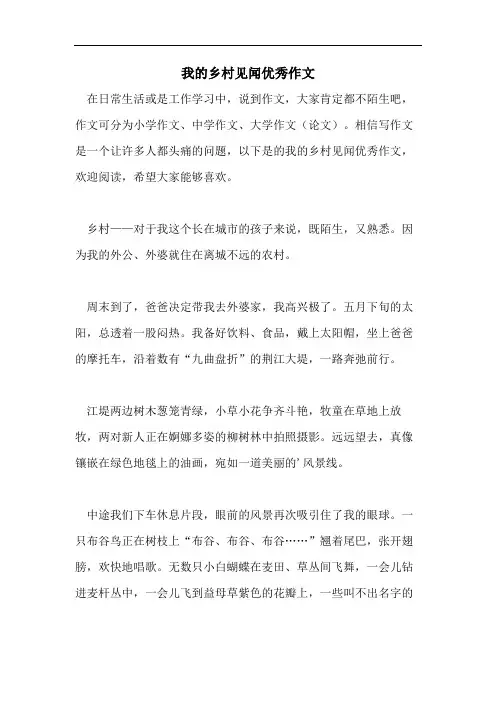 我的乡村见闻优秀作文