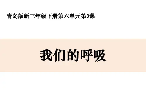 我们的呼吸