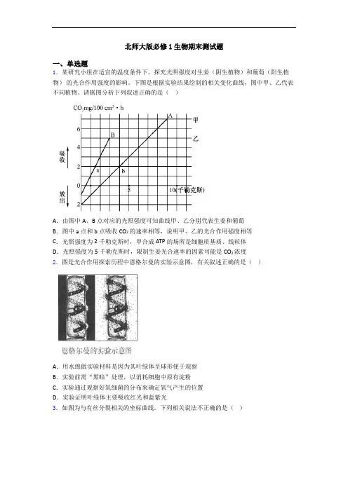 北师大版必修1生物期末测试题