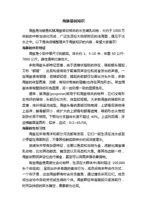 海豚基础知识