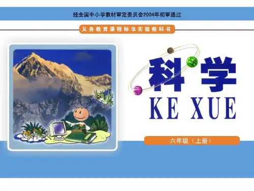 小学科学实验创新大赛PPT