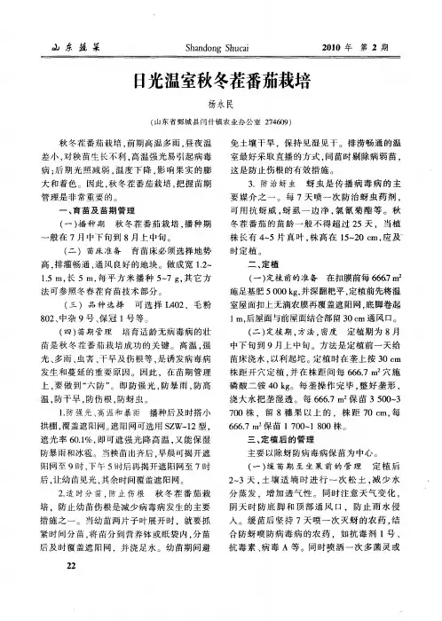 日光温室秋冬茬番茄栽培