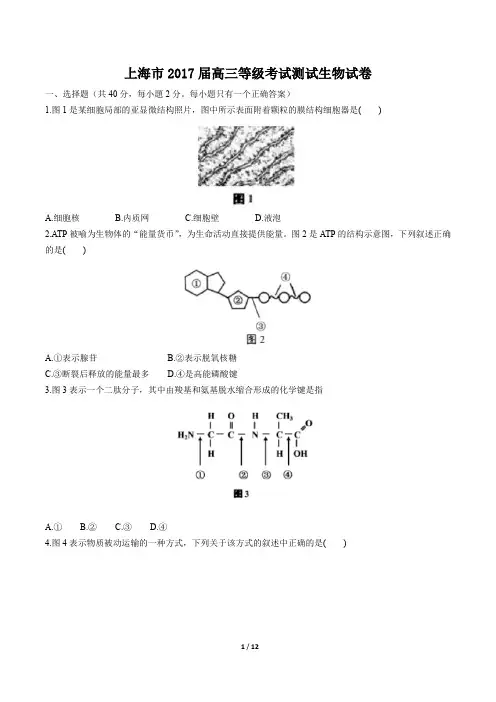 上海市高三等级考试测试生物试卷有答案