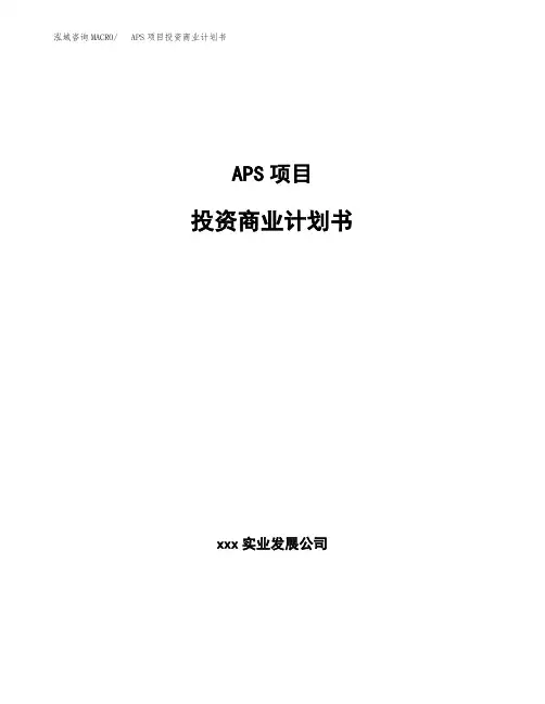 APS项目投资商业计划书范本(投资融资分析)