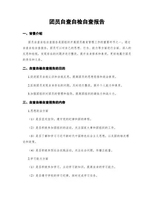 团员自查自检自查报告