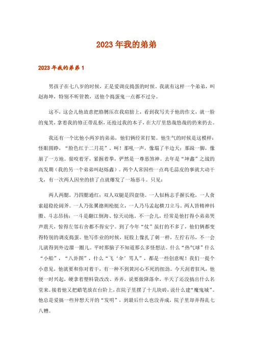 2023年我的弟弟