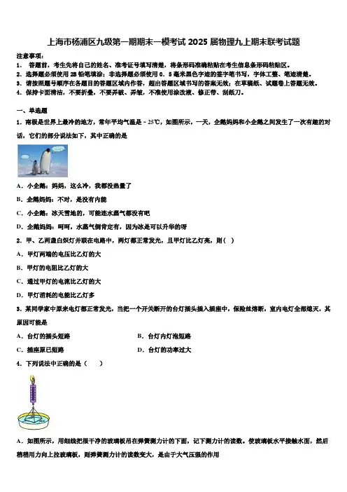 上海市杨浦区九级第一期期末一模考试2025届物理九上期末联考试题含解析