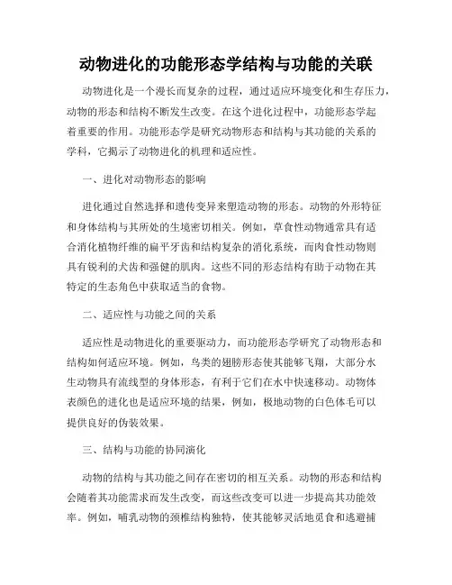 动物进化的功能形态学结构与功能的关联