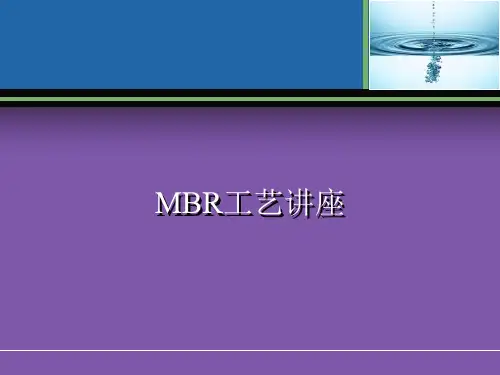 MBR工艺全面介绍ppt课件