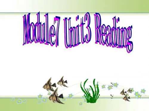 高二英语人教版模块7 Unit 3 Under the sea reading 课件