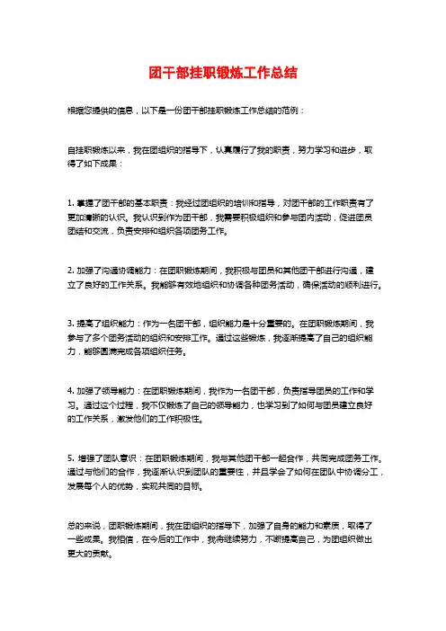 团干部挂职锻炼工作总结