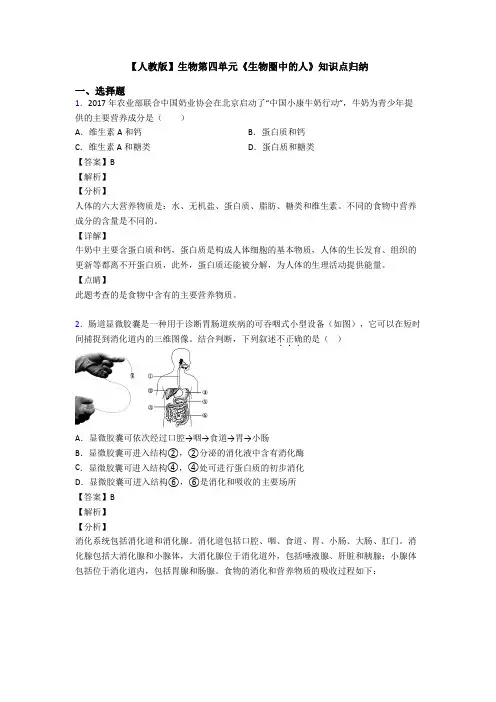 【人教版】生物第四单元《生物圈中的人》知识点归纳