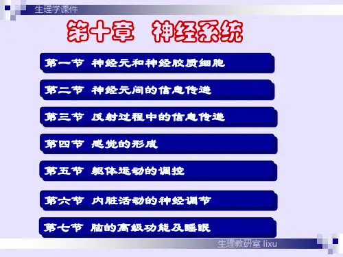 神经9-生理学课件