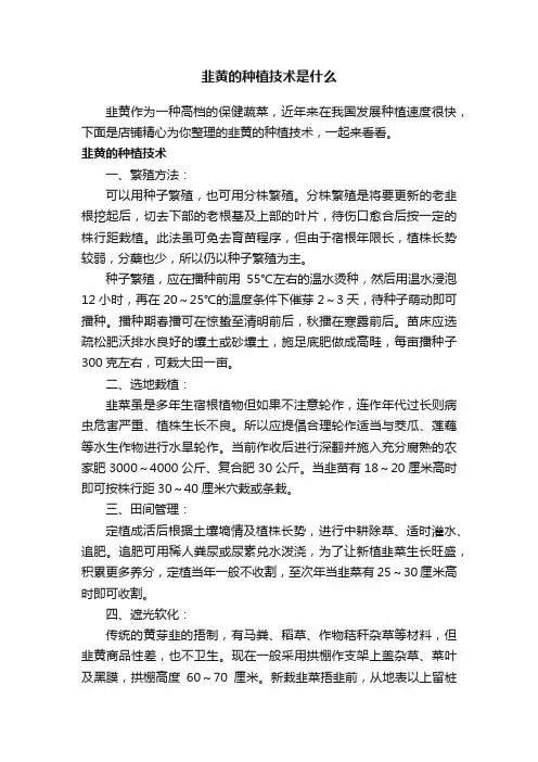 韭黄的种植技术是什么