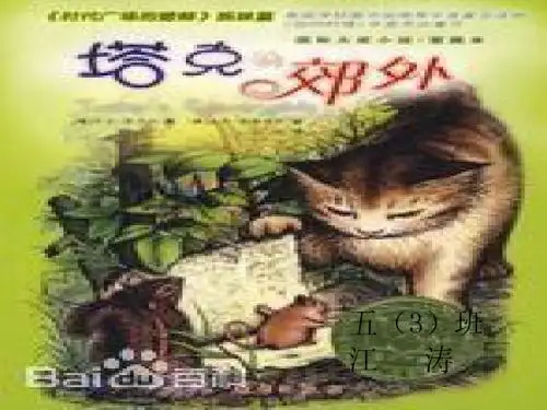 塔克的郊外