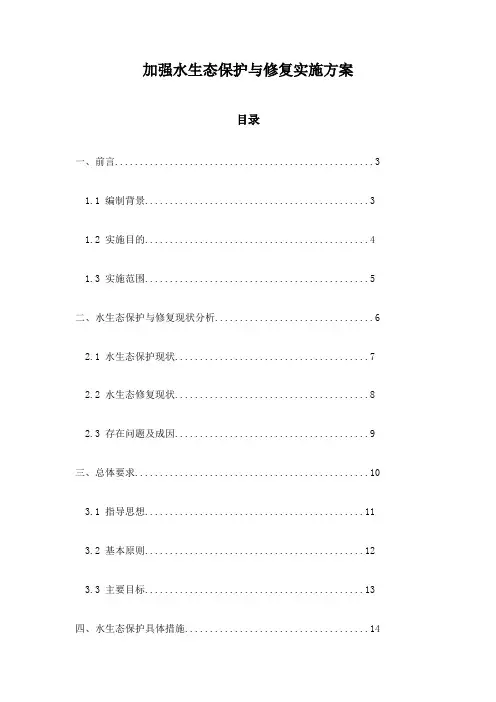 加强水生态保护与修复实施方案