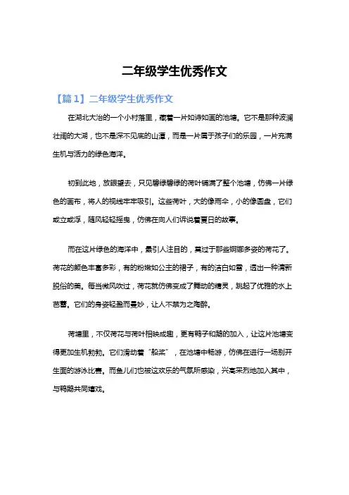 二年级学生优秀作文