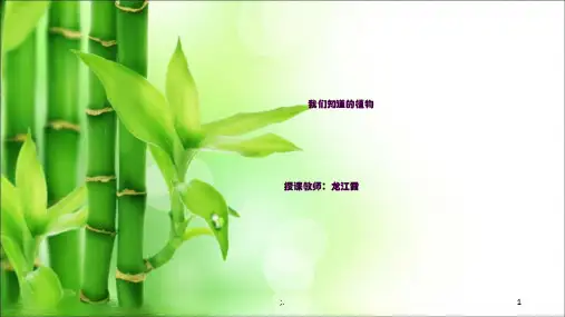 教科版一年级科学上册 1.1我们知道的植物ppt课件
