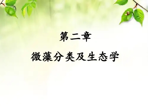 微藻分类及生态学
