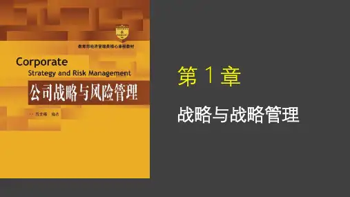 公司战略与风险管理