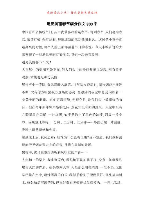 遇见美丽春节满分作文800字-最新范文