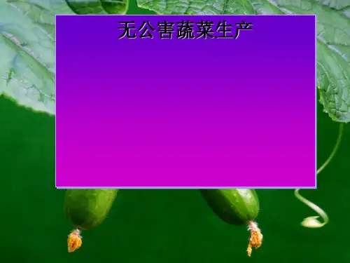 无公害蔬菜生产培训课件