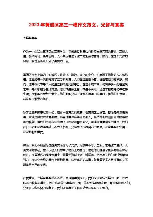 2023年黄浦区高三一模作文范文：光鲜与真实