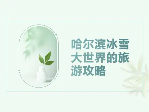 哈尔滨冰雪大世界旅游攻略