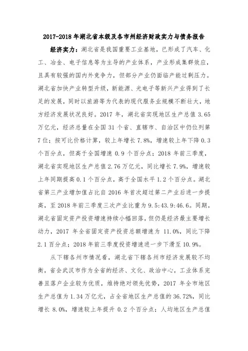 2017-2018年湖北省本级及各市州经济财政实力与债务报告