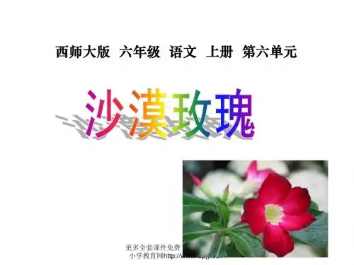 第23课《沙漠玫瑰》课件PPT