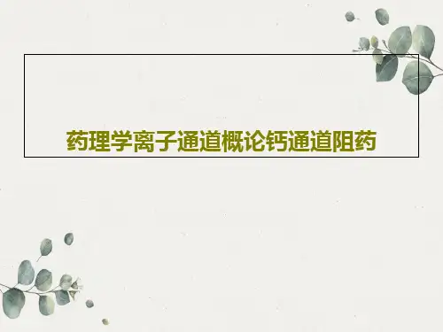 药理学离子通道概论钙通道阻药共28页