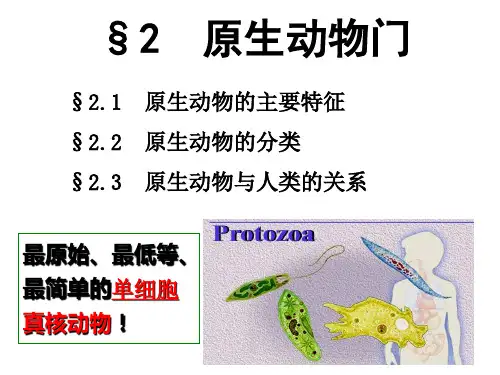 西农 普通动物学课件  原生动物门