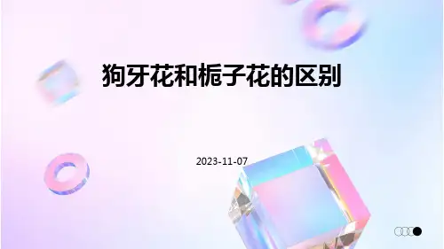 狗牙花和栀子花的区别
