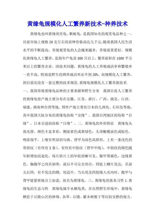 黄缘龟规模化人工繁养新技术 - 种养技术